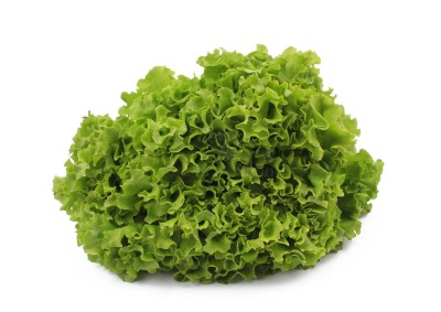 Салат романо 1 кг - купить в Урюш-Битуллино